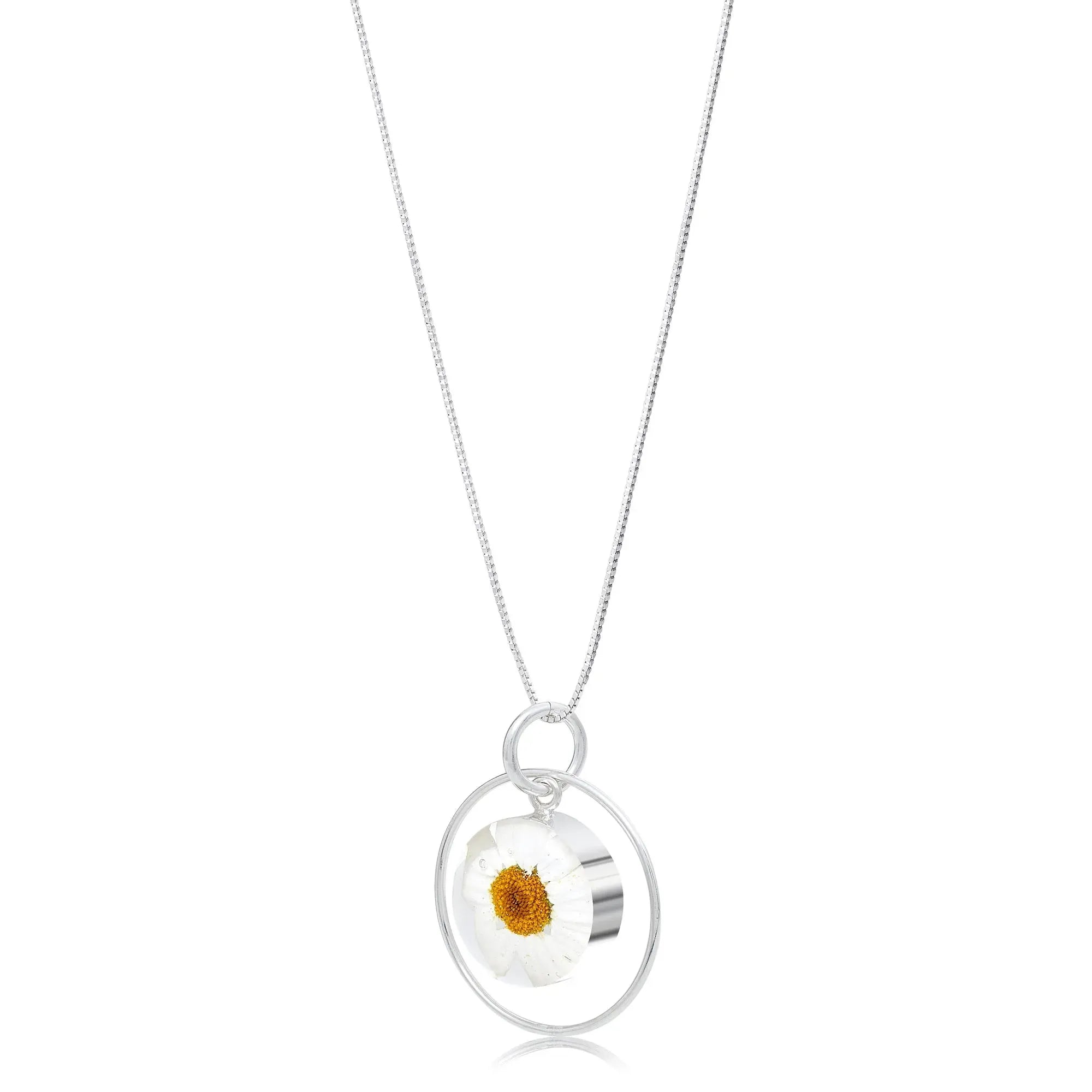 Náhrdelník s přívěskem skutečné bílé kopretiny – přívěsek z kruhu ze stříbra
