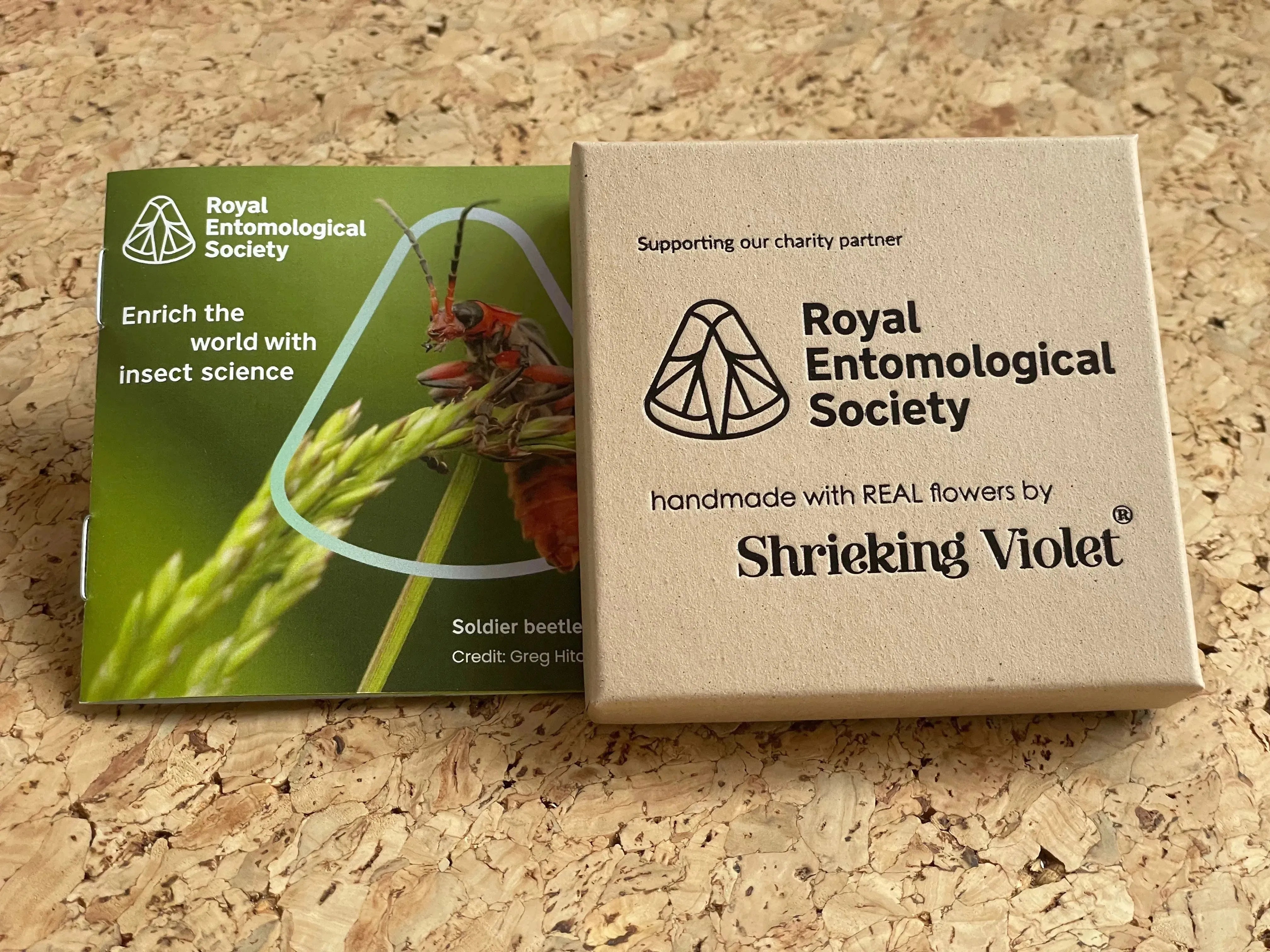 Klavervlinder ketting van Shrieking Violet® Sterling zilveren hanger met de hand gemaakt met echte Euphorbia milii bloemen. Sieradengeschenk voor vlinderliefhebbers