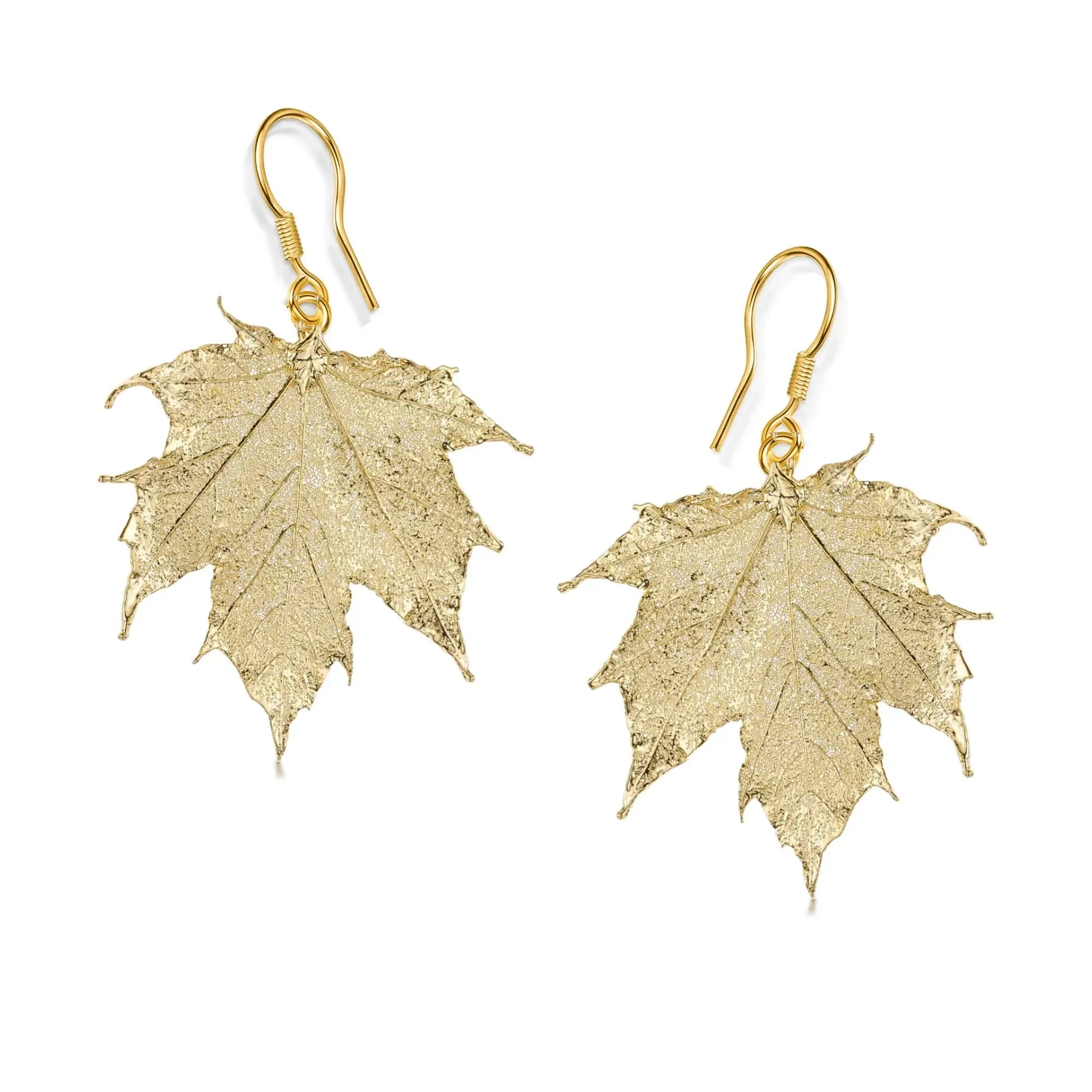 Pendientes de hoja de arce canadiense real bañados en oro: joyería natural hecha a mano