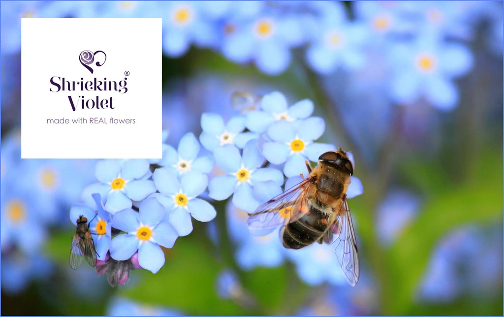 Flower jewellery by Shrieking Violet® Gold-plated sterling silver adjustable ring with real forget me nots. Ideal gift for mothers day, nan, wife