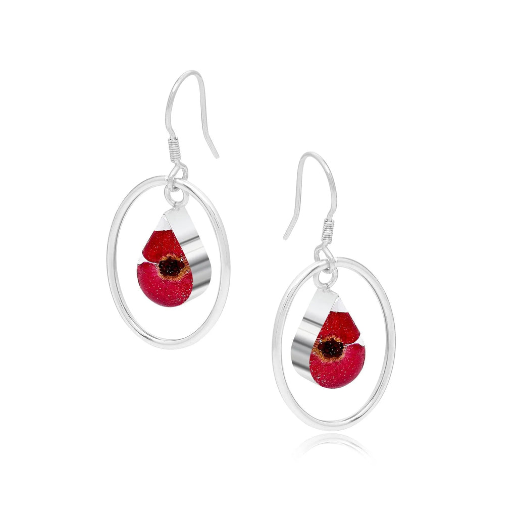 Poppy earrings by Shrieking Violet® Sterling silver drop dangle teardrop earrings with hoop & tiny real Euphrbia milii flowers.